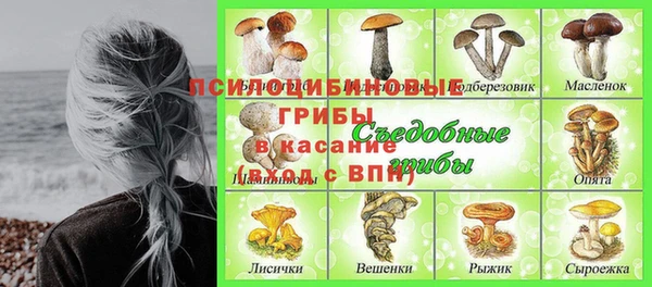 метадон Снежногорск