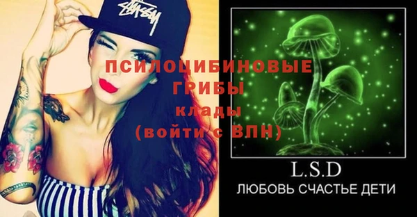 твердый Алексин
