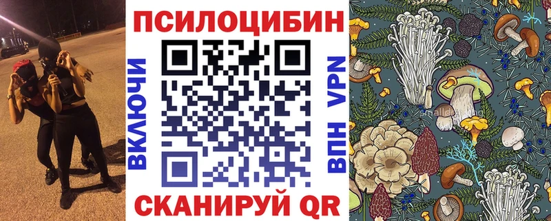 Псилоцибиновые грибы Psilocybine cubensis  купить   hydra сайт  Грязовец 