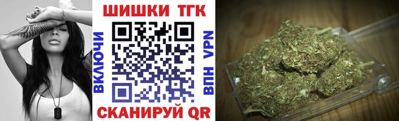 Каннабис сатива  Грязовец 